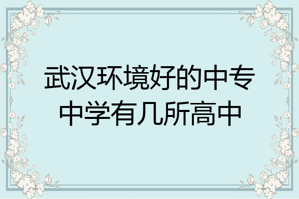 武汉环境好的中专中学有几所高中