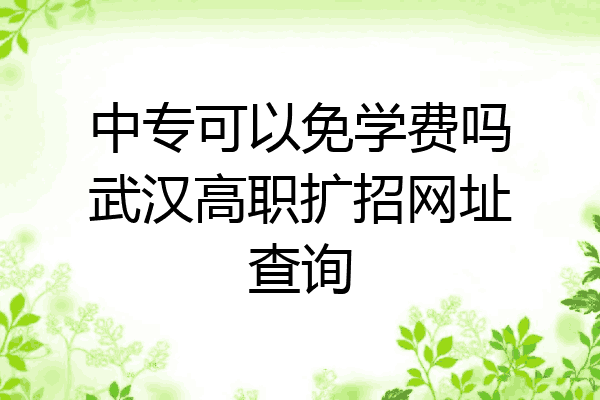 中专可以免学费吗武汉高职扩招网址查询