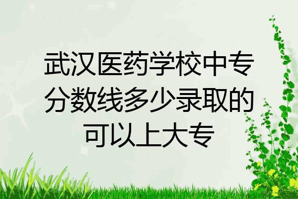 武汉医药学校中专分数线多少录取的可以上大专