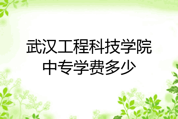 武汉工程科技学院中专学费多少