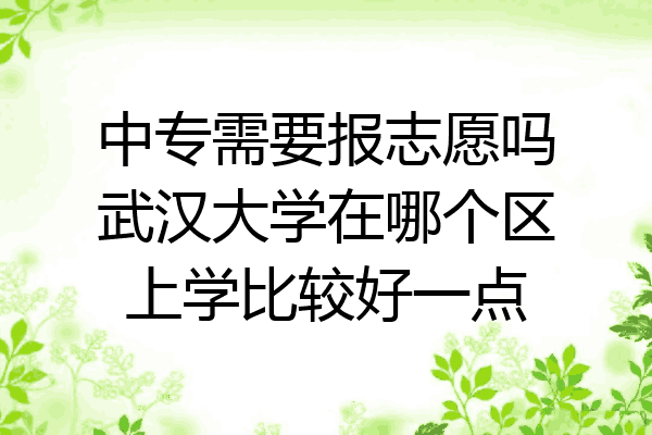 中专需要报志愿吗武汉大学在哪个区上学比较好一点