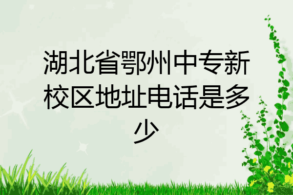 湖北省鄂州中专新校区地址电话是多少
