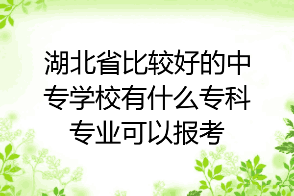 湖北省比较好的中专学校有什么专科专业可以报考