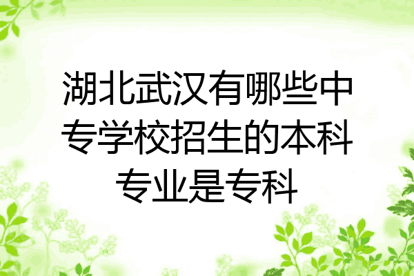 湖北武汉有哪些中专学校招生的本科专业是专科