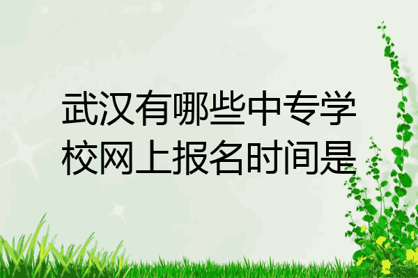 武汉有哪些中专学校网上报名时间是