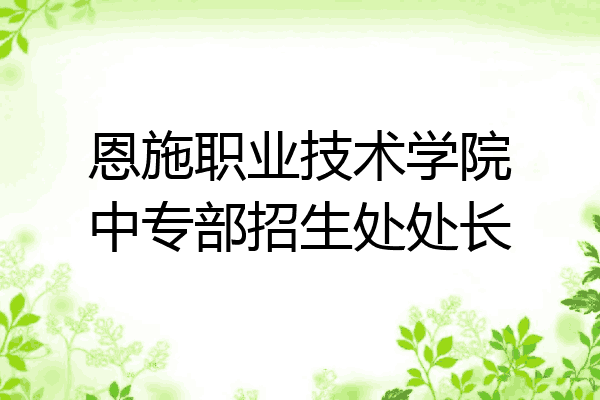 恩施职业技术学院中专部招生处处长