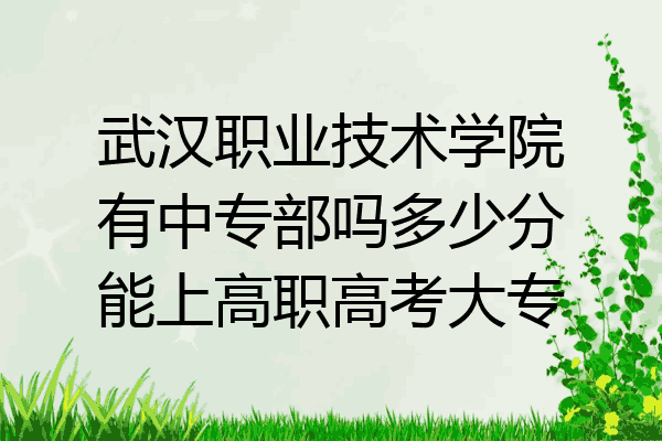 武汉职业技术学院有中专部吗多少分能上高职高考大专