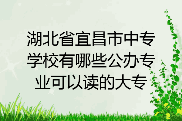 湖北省宜昌市中专学校有哪些公办专业可以读的大专