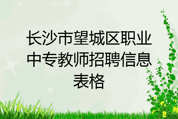 长沙市望城区职业中专教师招聘信息表格