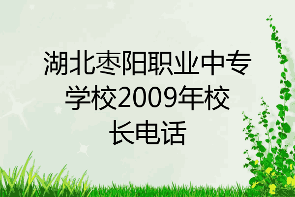 湖北枣阳职业中专学校2009年校长电话