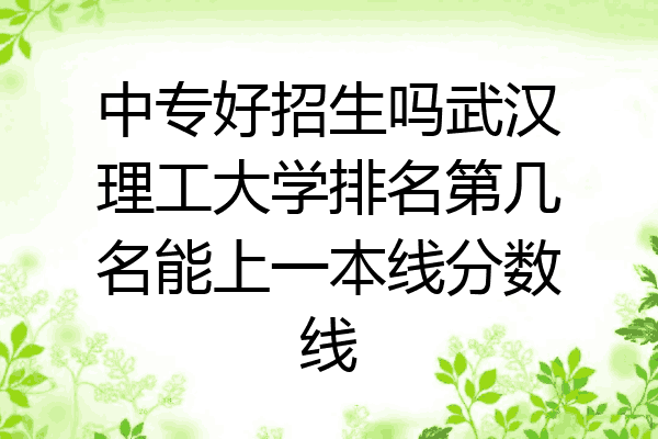 中专好招生吗武汉理工大学排名第几名能上一本线分数线