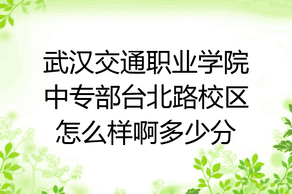 武汉交通职业学院中专部台北路校区怎么样啊多少分