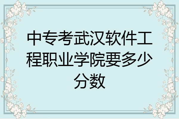 中专考武汉软件工程职业学院要多少分数