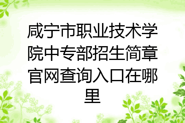 咸宁市职业技术学院中专部招生简章官网查询入口在哪里