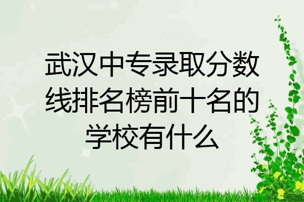 武汉中专录取分数线排名榜前十名的学校有什么
