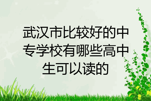 武汉市比较好的中专学校有哪些高中生可以读的