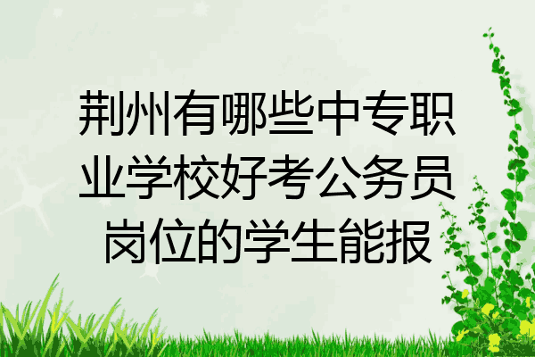 荆州有哪些中专职业学校好考公务员岗位的学生能报