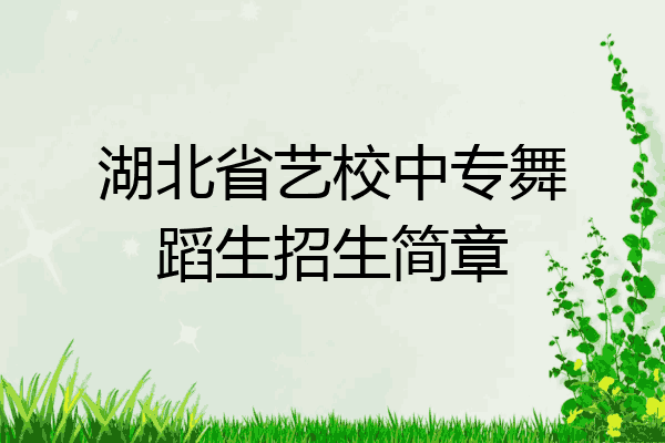 湖北省艺校中专舞蹈生招生简章