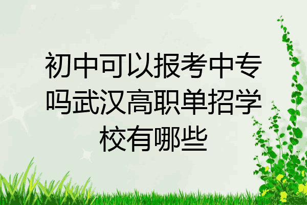 初中可以报考中专吗武汉高职单招学校有哪些