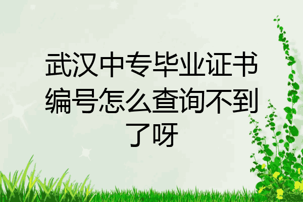 武汉中专毕业证书编号怎么查询不到了呀