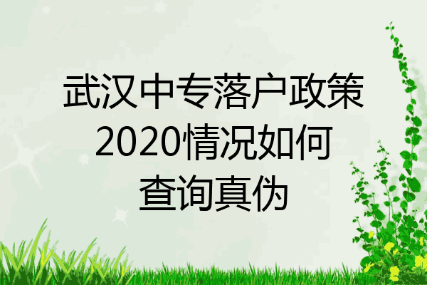 武汉中专落户政策2020情况如何查询真伪