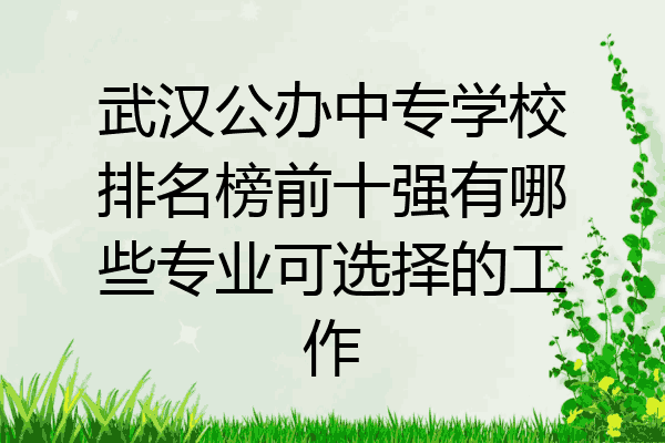 武汉公办中专学校排名榜前十强有哪些专业可选择的工作