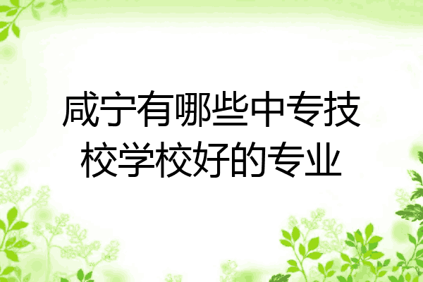 咸宁有哪些中专技校学校好的专业
