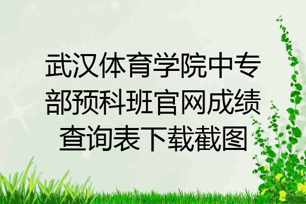 武汉体育学院中专部预科班官网成绩查询表下载截图