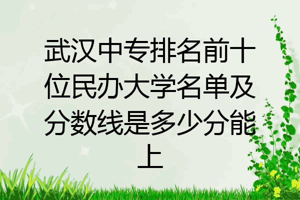 武汉中专排名前十位民办大学名单及分数线是多少分能上