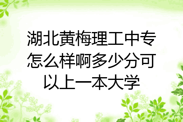 湖北黄梅理工中专怎么样啊多少分可以上一本大学
