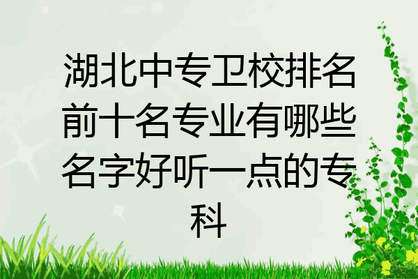 湖北中专卫校排名前十名专业有哪些名字好听一点的专科
