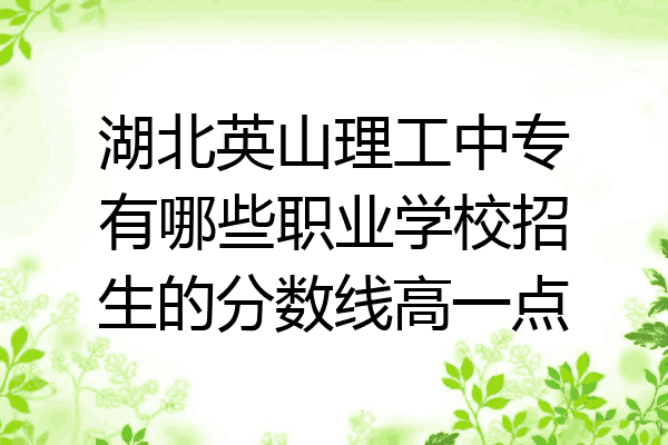 湖北英山理工中专有哪些职业学校招生的分数线高一点