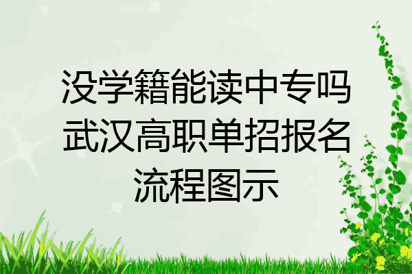 没学籍能读中专吗武汉高职单招报名流程图示