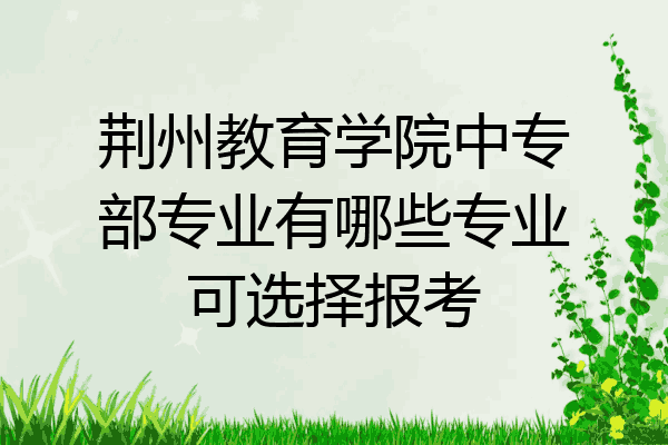 荆州教育学院中专部专业有哪些专业可选择报考