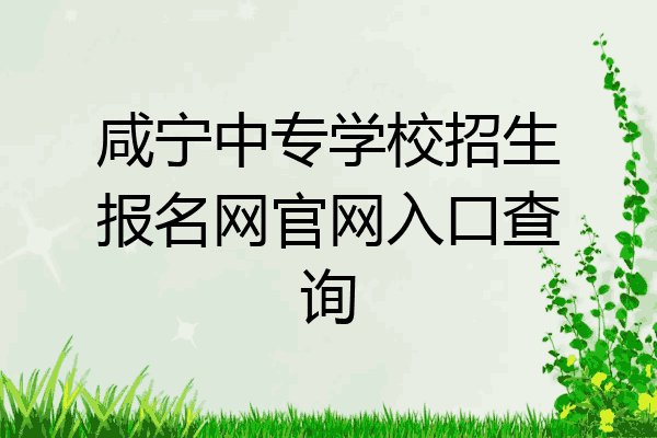 咸宁中专学校招生报名网官网入口查询