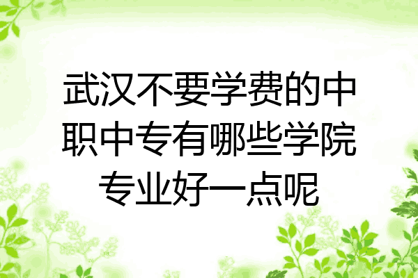 武汉不要学费的中职中专有哪些学院专业好一点呢