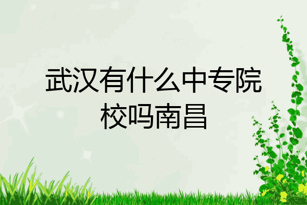 武汉有什么中专院校吗南昌
