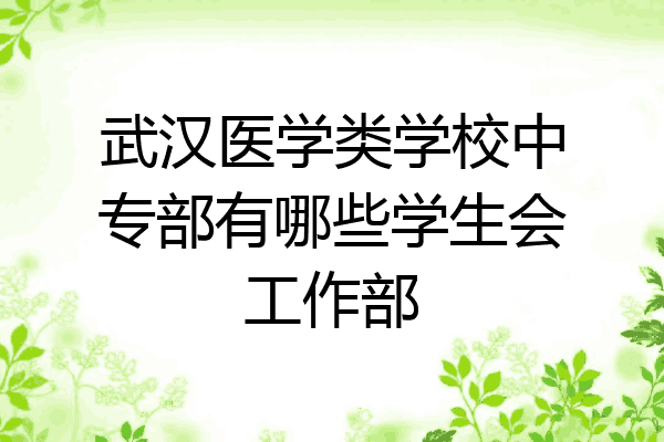 武汉医学类学校中专部有哪些学生会工作部