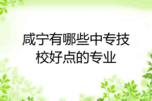 咸宁有哪些中专技校好点的专业