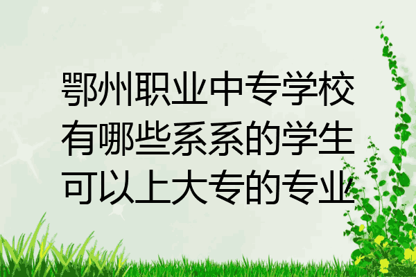 鄂州职业中专学校有哪些系系的学生可以上大专的专业