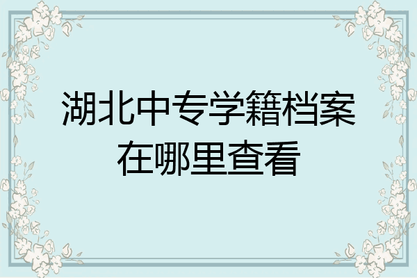 湖北中专学籍档案在哪里查看