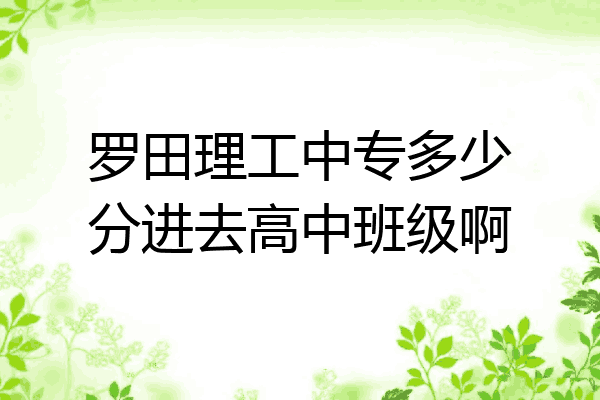 罗田理工中专多少分进去高中班级啊