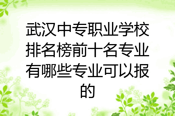 武汉中专职业学校排名榜前十名专业有哪些专业可以报的