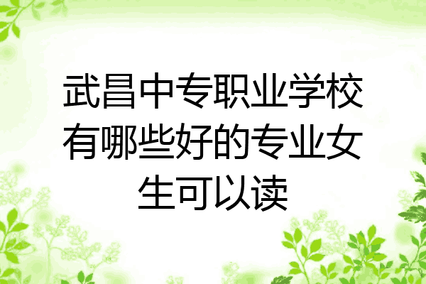 武昌中专职业学校有哪些好的专业女生可以读