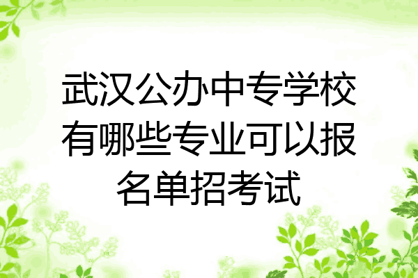 武汉公办中专学校有哪些专业可以报名单招考试