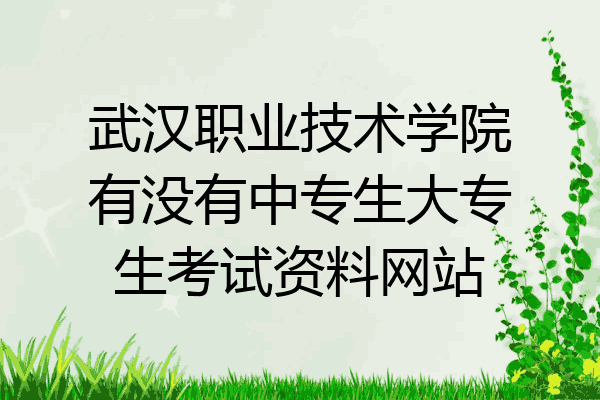 武汉职业技术学院有没有中专生大专生考试资料网站