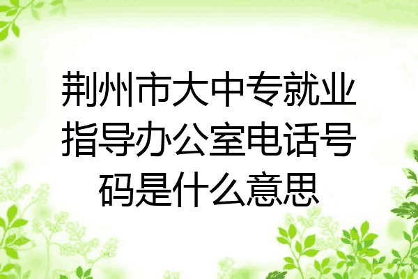 荆州市大中专就业指导办公室电话号码是什么意思