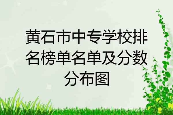 黄石市中专学校排名榜单名单及分数分布图