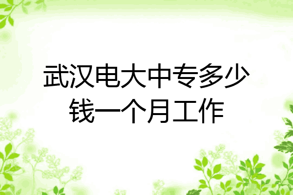 武汉电大中专多少钱一个月工作