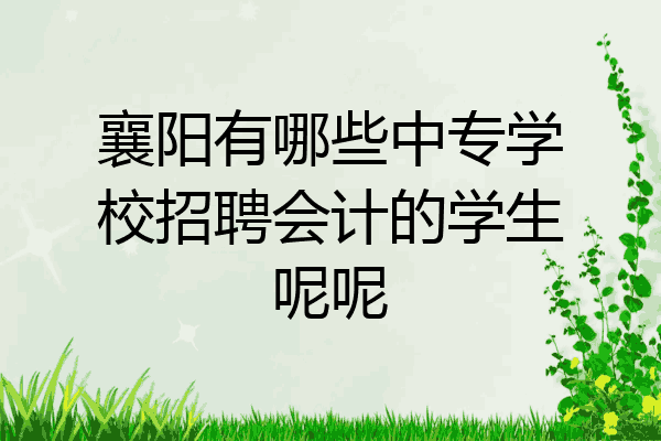 襄阳有哪些中专学校招聘会计的学生呢呢